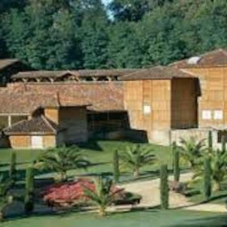Maison Avec Piscine Proche Des Thermes Mauleon-D'armagnac Экстерьер фото